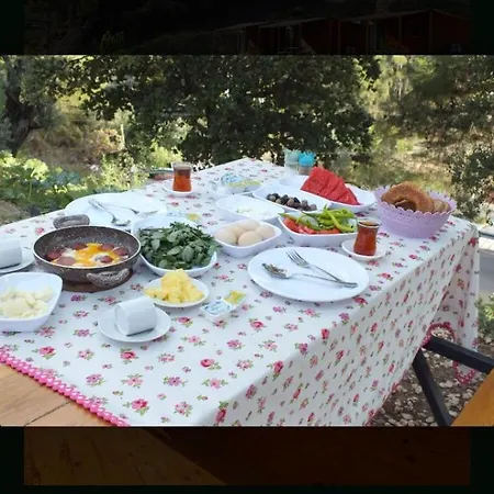 Olimpos Altun Restorant Yenbey