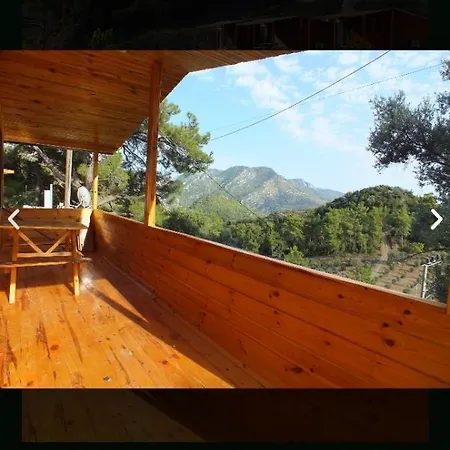 Olimpos Altun Restorant *