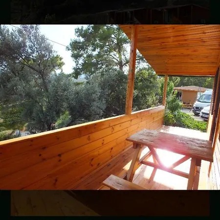 Olimpos Altun Restorant *